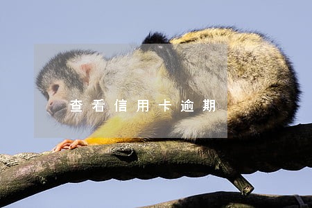 查看信用卡逾期 查看信用卡逾期