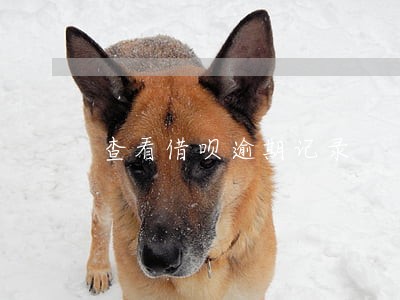 查看借呗逾期记录 查看借呗逾期记录