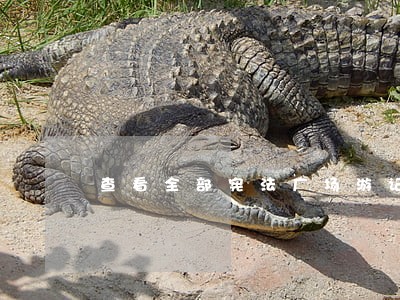查看全部宪法广场游记攻略 查看全部宪法广场游记攻略