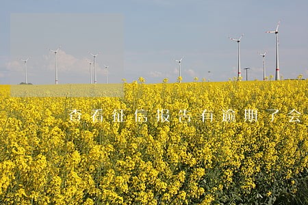 查看征信报告有逾期了会怎么样 查看征信报告有逾期了会怎么样