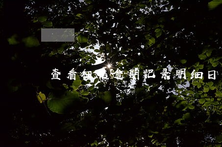 查看征信逾期记录明细日期 查看征信逾期记录明细日期