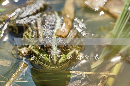 查看我的逾期记录 查看我的逾期记录