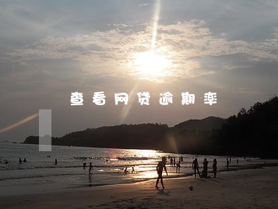 查看网贷逾期率