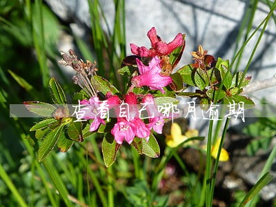 查看自己哪月逾期 查看自己哪月逾期