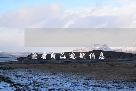 查看自己逾期信息 查看自己逾期信息