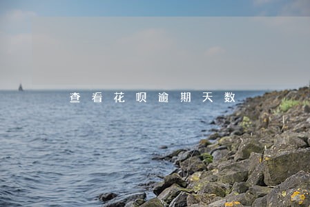 查看花呗逾期天数 查看花呗逾期天数