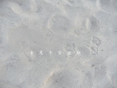 查看车贷逾期 查看车贷逾期