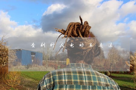 查纠行人电动车违法 查纠行人电动车违法