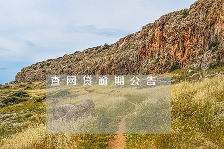 查网贷逾期公告 查网贷逾期公告