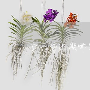 查网贷逾期哪里查