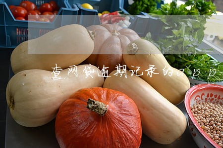 查网贷逾期记录的app