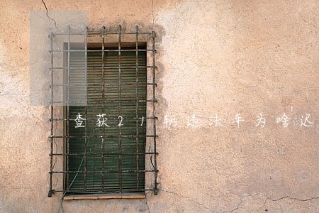 查获21辆违法车为啥迟迟不扣车 查获21辆违法车为啥迟迟不扣车