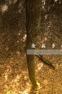 查获多起违法案件 查获多起违法案件