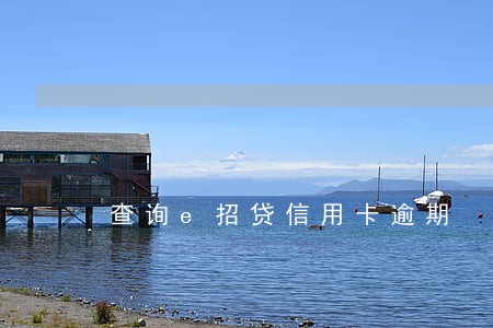 查询e招贷信用卡逾期