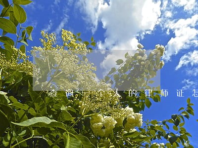 查询一个人的律师证怎么查 查询一个人的律师证怎么查