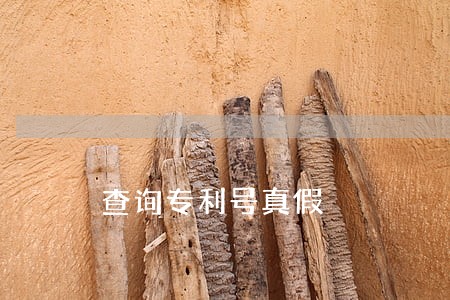 查询专利号真假