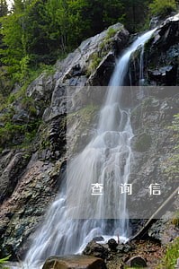 查询信用卡逾期产生时间