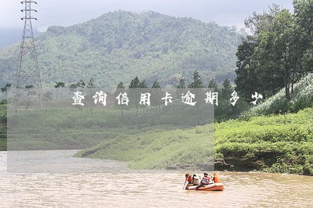 查询信用卡逾期多少