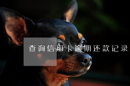查询信用卡逾期还款记录