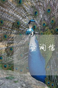 查询信用显示正在逾期中 查询信用显示正在逾期中
