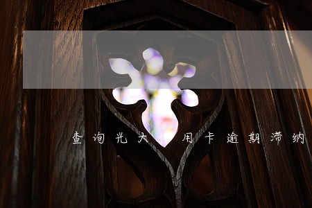 查询光大信用卡逾期滞纳金