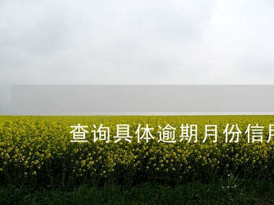 查询具体逾期月份信用卡征信