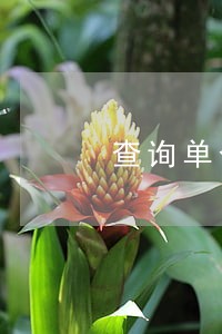查询单个银行卡逾期记录 查询单个银行卡逾期记录