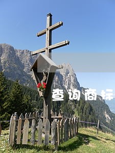 查询商标注册进度信息 查询商标注册进度信息