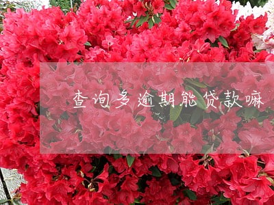 查询多逾期能贷款嘛 查询多逾期能贷款嘛