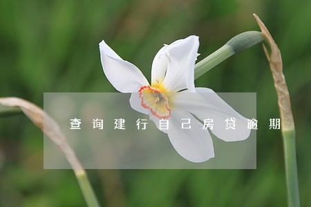查询建行自己房贷逾期 查询建行自己房贷逾期