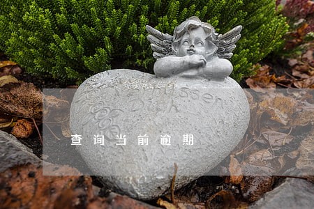 查询当前逾期 查询当前逾期