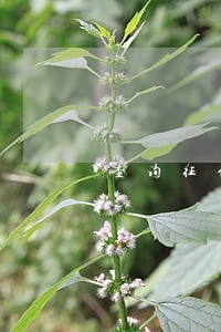 查询征信一次逾期影响贷款吗 查询征信一次逾期影响贷款吗