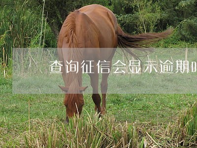 查询征信会显示逾期吗 查询征信会显示逾期吗