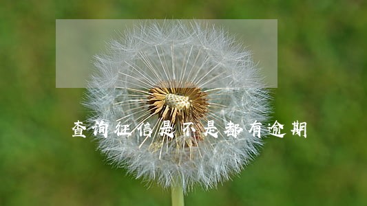 查询征信是不是都有逾期 查询征信是不是都有逾期
