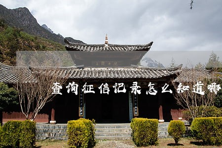 查询征信记录怎么知道哪个逾期 查询征信记录怎么知道哪个逾期