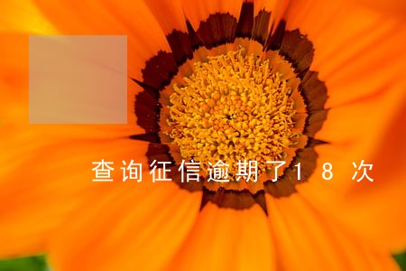 查询征信逾期了18次 查询征信逾期了18次