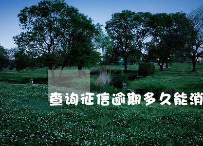 查询征信逾期多久能消除 查询征信逾期多久能消除