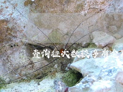 查询征次数较多有逾期 查询征次数较多有逾期