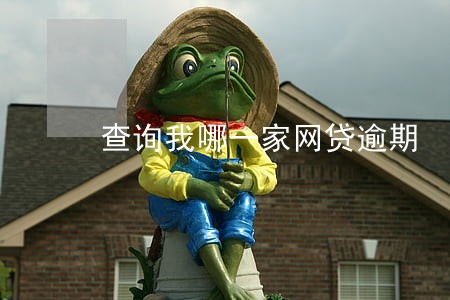查询我哪一家网贷逾期 查询我哪一家网贷逾期