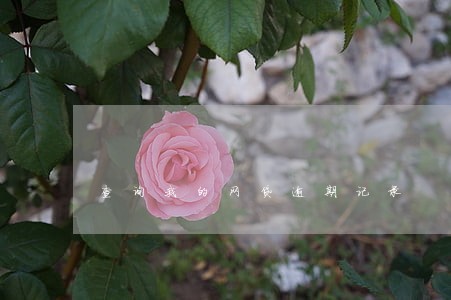 查询我的网贷逾期记录 查询我的网贷逾期记录