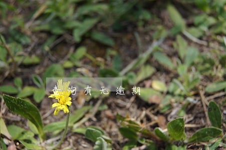 查询有无逾期 查询有无逾期