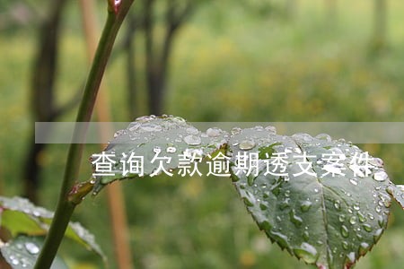 查询欠款逾期透支案件 查询欠款逾期透支案件