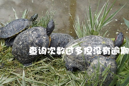 查询次数过多但没有逾期车贷 查询次数过多但没有逾期车贷