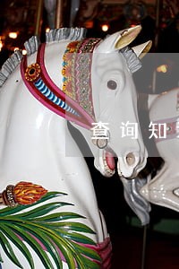 查询知识产权的网站 查询知识产权的网站
