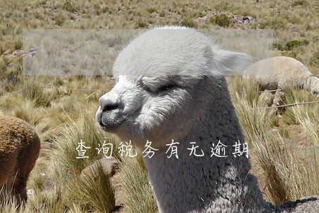查询税务有无逾期 查询税务有无逾期
