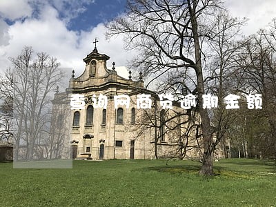 查询网商贷逾期金额