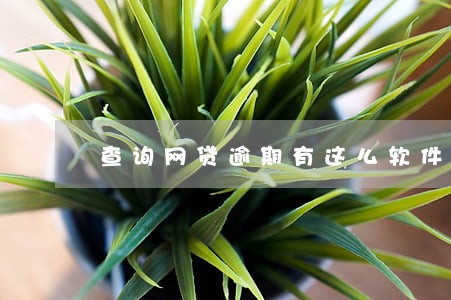 查询网贷逾期有这么软件 查询网贷逾期有这么软件