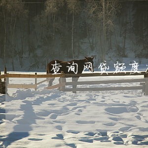 查询网贷额度次数过多没逾期 查询网贷额度次数过多没逾期