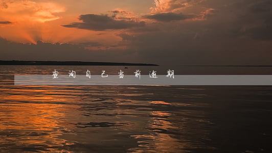 查询自己当前逾期 查询自己当前逾期