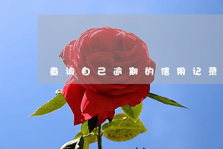查询自己逾期的信用记录 查询自己逾期的信用记录